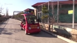 Верблюды, тигры и медведи. Один день из жизни животных в парке «Тайган» (видео) Верблюды, тигры и медведи. Один день из жизни животных в парке «Тайган» (видео)