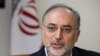 Iran To Make Fuel For Medical Reactor
