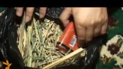 Амалиёти боздошти занони фолбин ё "бинакҳо" Амалиёти боздошти занони фолбин ё "бинакҳо"