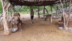 Чорвопарварони деҳаи Хоҷаи Аъло ҷуброн талаб доранд Чорвопарварони деҳаи Хоҷаи Аъло ҷуброн талаб доранд