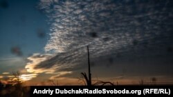 Зрізані осколками дерева на дорозі від Водяного до Маріуполя. Фото Андрія Дубчака (про нього та його новий проєкт читайте нижче)