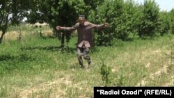 Кишоварзи тоҷик бо ин ҳаракат нишон медиҳад, кӣ чӣ гуна малах зиёд аст.