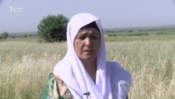 "Раис амр дод, раис бекор кард" "Раис амр дод, раис бекор кард"