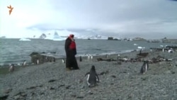 Патриарх Кирилл совершил молебен в Антарктиде и погулял с пингвинами (видео) Патриарх Кирилл совершил молебен в Антарктиде и погулял с пингвинами (видео)