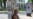 Moldovan Man 'Won"t Ask For Pardon'