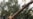 Will Femen Face A Pussy Riot-Style Crackdown?