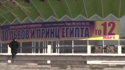 Кумитаи забон аз баргардондани "Ц" ҷонибдорӣ накард Кумитаи забон аз баргардондани "Ц" ҷонибдорӣ накард