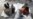 16x9 Image