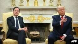 Генсекретар НАТО Марк Рютте у Вашингтоні 13 березня під час переговорів із президентом США Дональдом Трампом