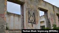 Голос вулиць. Як у Криму демонструють любов до України (фотогалерея)