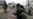 Russia OKs Use Of Force In Ukraine