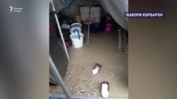 Вазъи аъзои боздоштшудаи оилаҳои ҷангҷӯёни тоҷик дар Сурия Вазъи аъзои боздоштшудаи оилаҳои ҷангҷӯёни тоҷик дар Сурия