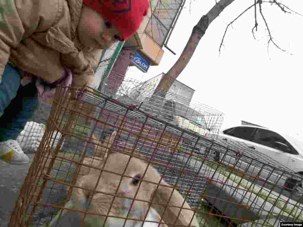 "Давай разберемся, почему тебя в клетку посадили".