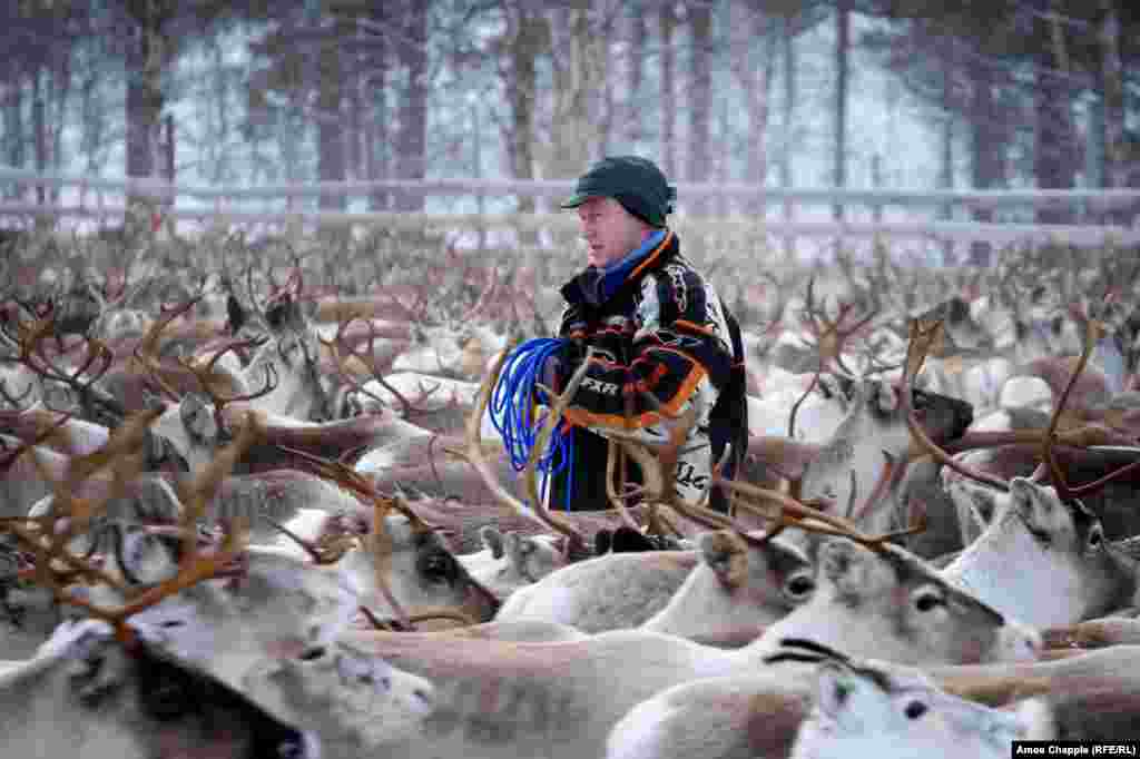 The Sami are an indigenous people who live in parts of Scandinavia and the Arctic. Their lives have traditionally revolved around reindeer herding. Kjell says of the Sami way of life: "We are the last free people on earth. If I want to go into the mountains, I go. If I want to stay at home, I stay at home."