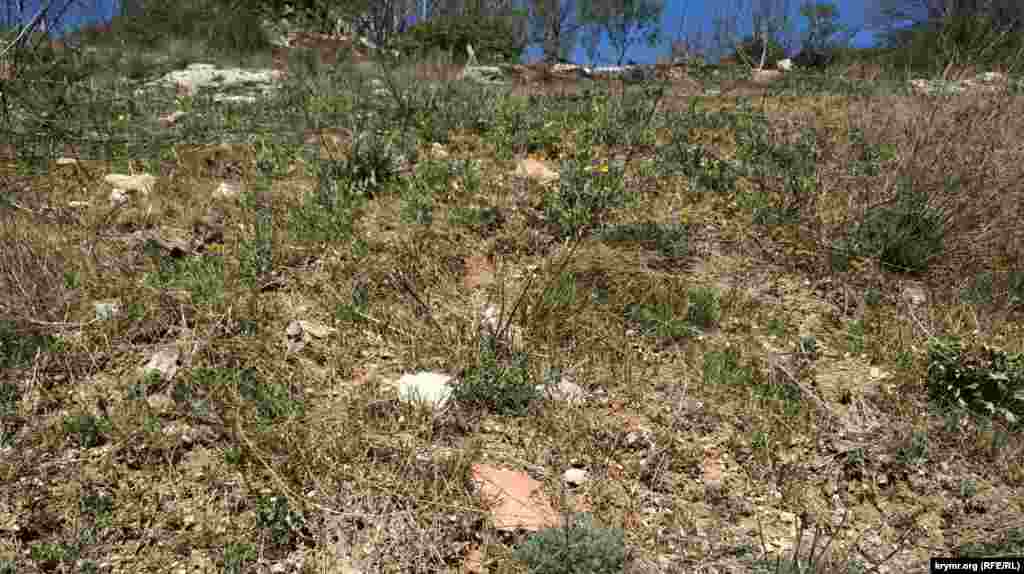 На східному схилі – уламки старої напівкруглої черепиці, яку в Криму називають «татаркою». Її робили в основному в Бахчисараї, і деякі будинки на півострові досі нею покриті. Можливо, вище схилом теж колись була будівля. У наші дні стара «татарка» досі користується попитом, її активно продають через сайти оголошень