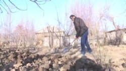 Муҳоҷирон: Миёнаравҳо бисёр фиреб мекунанд Муҳоҷирон: Миёнаравҳо бисёр фиреб мекунанд
