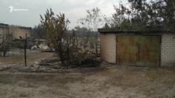 Сільська вулиця знищена вогнем: наслідки лісових пожеж на Луганщині Сільська вулиця знищена вогнем: наслідки лісових пожеж на Луганщині