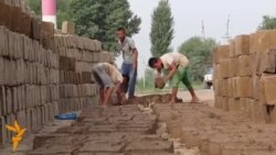 Кори кӯдакон дар Тоҷикистон: Дар кӯчаву бозор ва дар саҳро Кори кӯдакон дар Тоҷикистон: Дар кӯчаву бозор ва дар саҳро