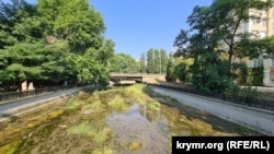 Обезвоженный и зарастающий растительностью Салгир в районе Центрального автовокзала Симферополя, июль 2025 года.