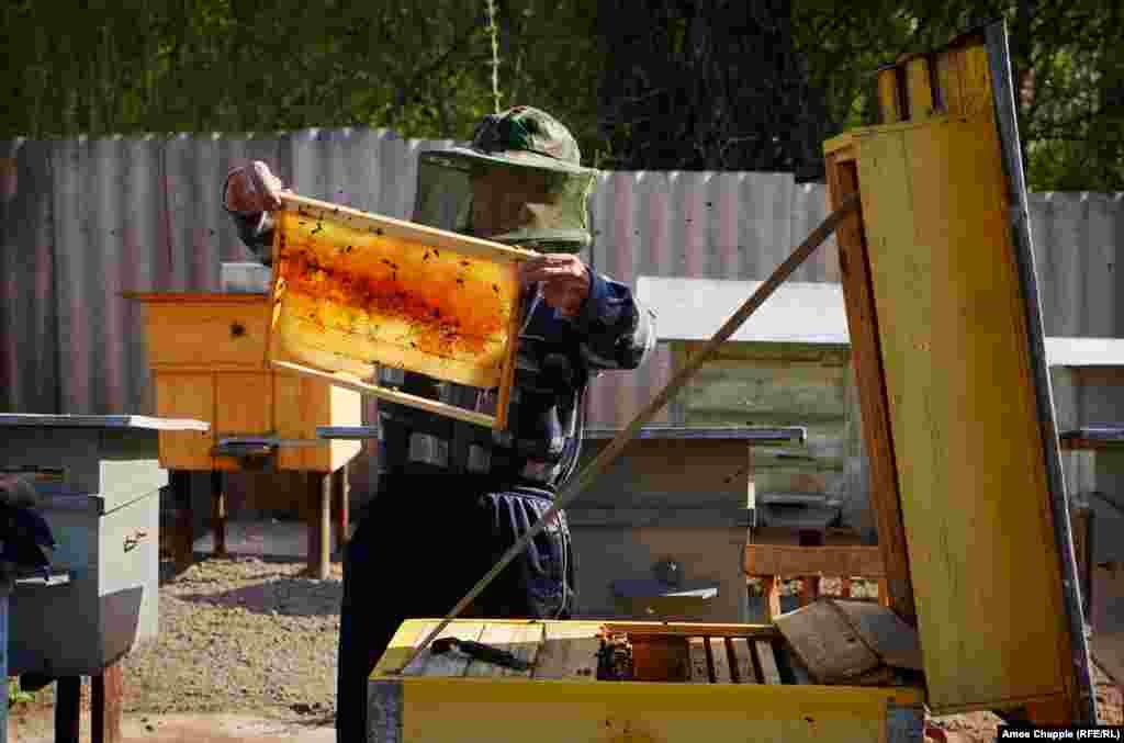 Василь перевіряє один зі своїх вуликів. Одного разу колишні власники, які зараз живуть в Криму, повернулися провідати їхній старий будинок. «Вони постукали в двері... не було ніяких проблем, навпаки, вони були щасливі, що я вселився», – каже Василь, бо без нього будинок був би тепер у руїнах