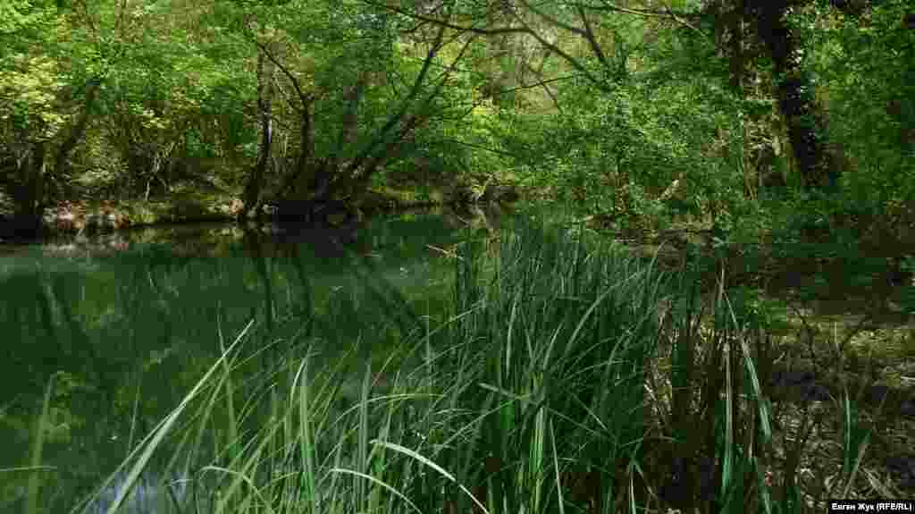 Тихі заводі Чорної річки. Раніше мала кримськотатарську назву Чоргунь. 1667 року турок Евлія Челебі згадував її в своїй «Книзі подорожей» як Казикли-Озен. На карті Федора Чорного 1790 року річка позначена, як Кірмень, а академік Петер Симон Паллас згадує її в своїх творах як Біюк-Узень або Казикли-Узень