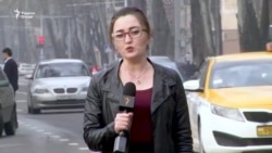 "Чӣ хеле хостанд, ҳамон хел мошин меронанд" "Чӣ хеле хостанд, ҳамон хел мошин меронанд"