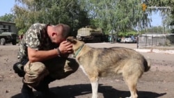 Прифронтова зона під час перемир'я Прифронтова зона під час перемир'я