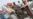 Afghanistan 'Ready' For Assault Exodus