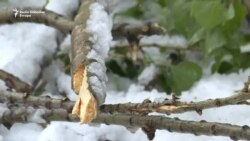 Aprilski snijeg u BiH Aprilski snijeg u BiH