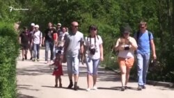 Жирафи, леви і верблюди. Один день з життя сафарі-парку «Тайган» (відео) Жирафи, леви і верблюди. Один день з життя сафарі-парку «Тайган» (відео)