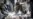 16x9 Image