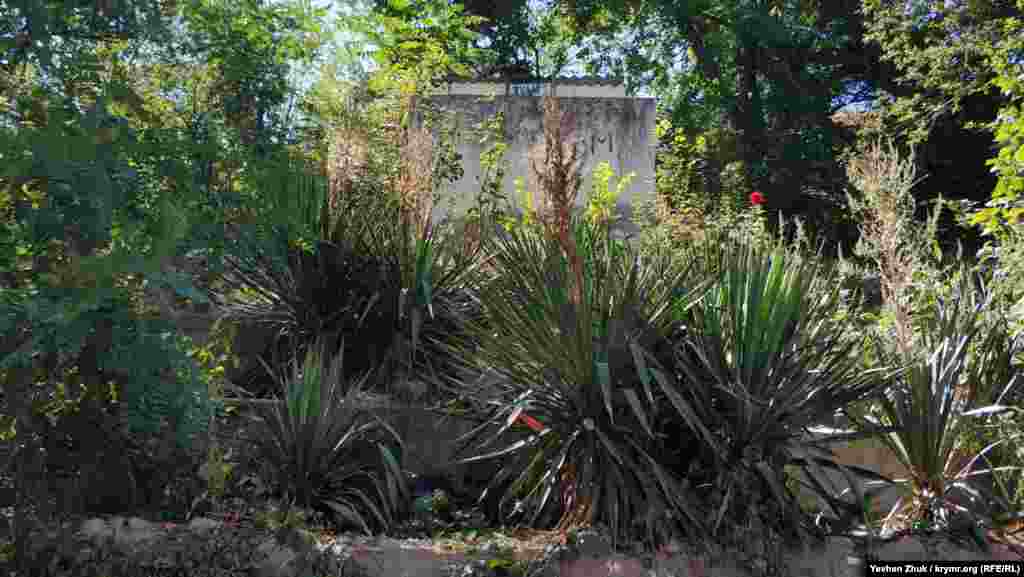 Громадський туалет «зачаївся» в заростях