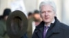 WikiLeaks' Assange Seeks Ecuador Asylum