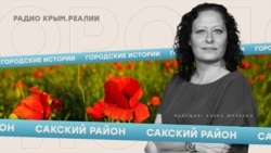 «У Крыма на краю». Интервью с Эльвиной Сеитбуллаевой | Радио Крым.Реалии «У Крыма на краю». Интервью с Эльвиной Сеитбуллаевой | Радио Крым.Реалии