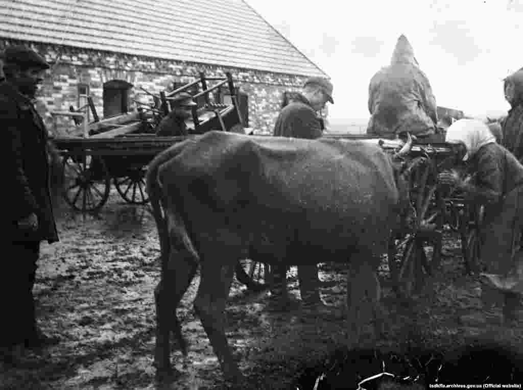 Розкуркулення селянина Ємця П. в одному з сіл Гришинського району Донецької області, 1930–1933 роки