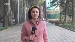 Пизишкони тоҷик бо хилъати сафед дар кӯчаҳои Душанбе. Сокинон чӣ мегӯянд? Пизишкони тоҷик бо хилъати сафед дар кӯчаҳои Душанбе. Сокинон чӣ мегӯянд?