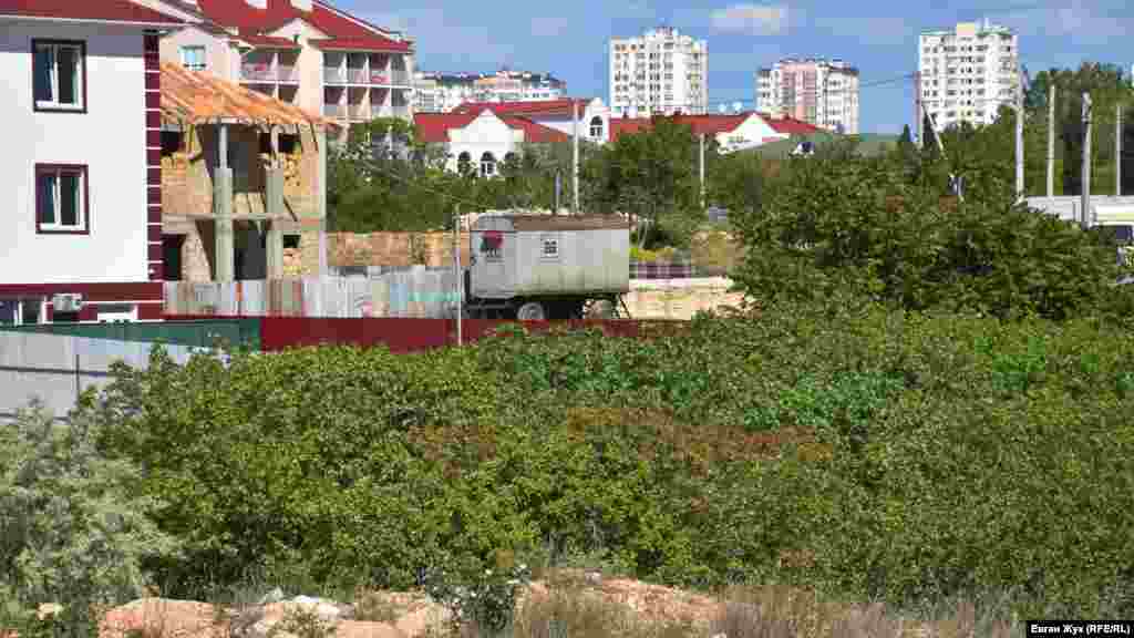 Гай фісташки туполистої – єдиний зелений куточок у цьому районі