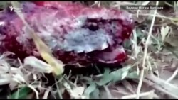 Агар ман ӯро намекуштам, ӯ маро мекушт Агар ман ӯро намекуштам, ӯ маро мекушт
