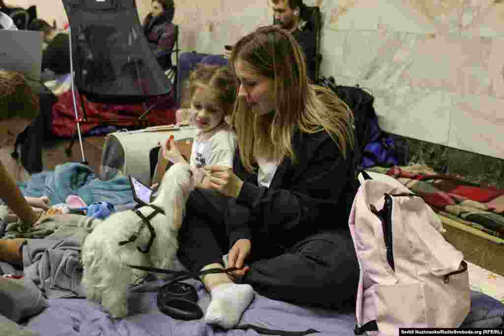 Parents take shelter with their children and family pets.